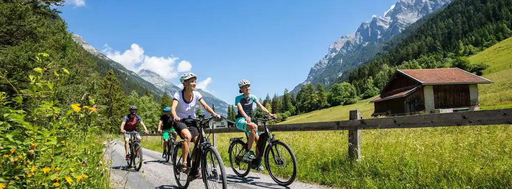 Met jouw tweedehands elektrische fiets op vakantie: welke Bosch middenmotor raden wij jou aan