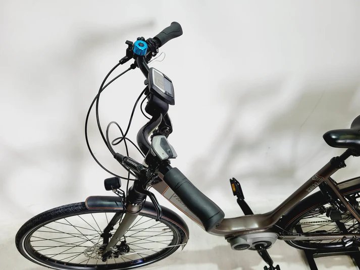 Trek TM800+ Bosch Active Line Middenmotor Lage instap Goud 56cm