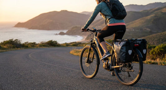 Elektrische fiets voor lange afstanden