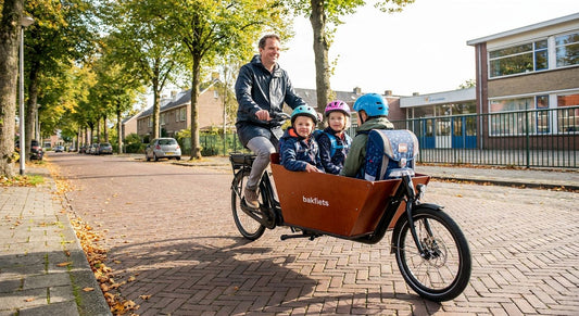 Elektrische bakfiets voor de dagelijkse schoolrit