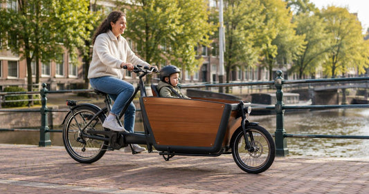 Hoeveel weegt een elektrische bakfiets?