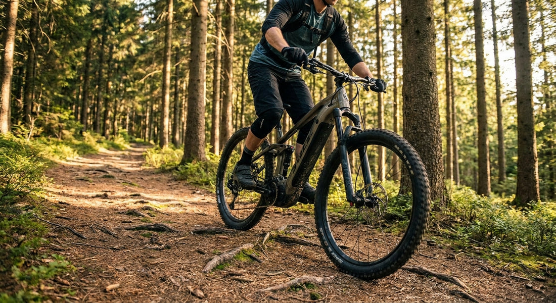 Elektrische mountainbike voor bospaden en onverhard terrein