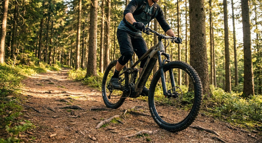 Elektrische mountainbike voor bospaden en onverhard terrein