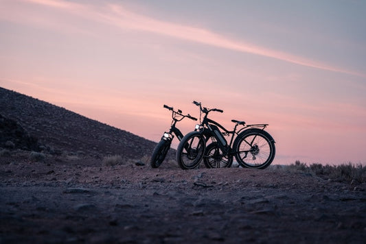 Tweedehands E-Bike Kopen: Slim, Betaalbaar en Duurzaam