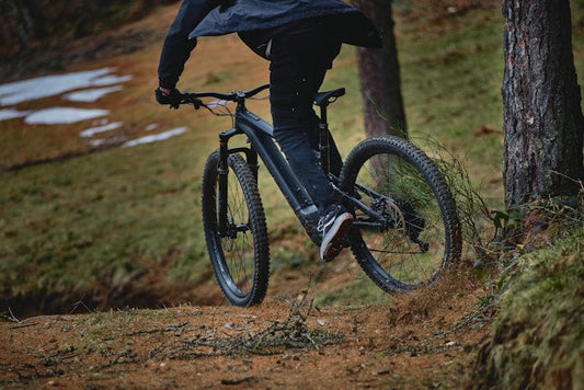 Waarom een MTB E-Bike Kopen in Nederland een Slimme Keuze is