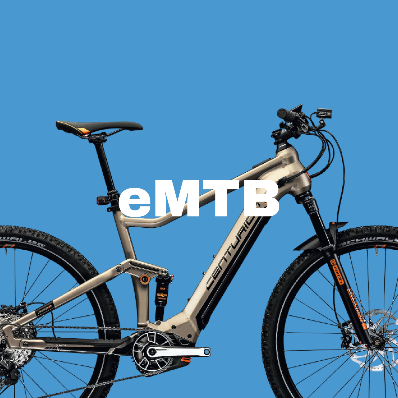 Elektrische Mountainbikes