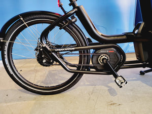 1000Km - Urban Arrow Cargo L - Bosch Perf Line - BD met Denting Flightcase