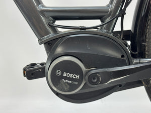 Pegasus Piazza E7F NL Bosch Active Line Middenmotor
