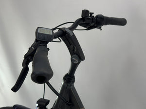 Pegasus Piazza E7F NL Bosch Active Line Middenmotor
