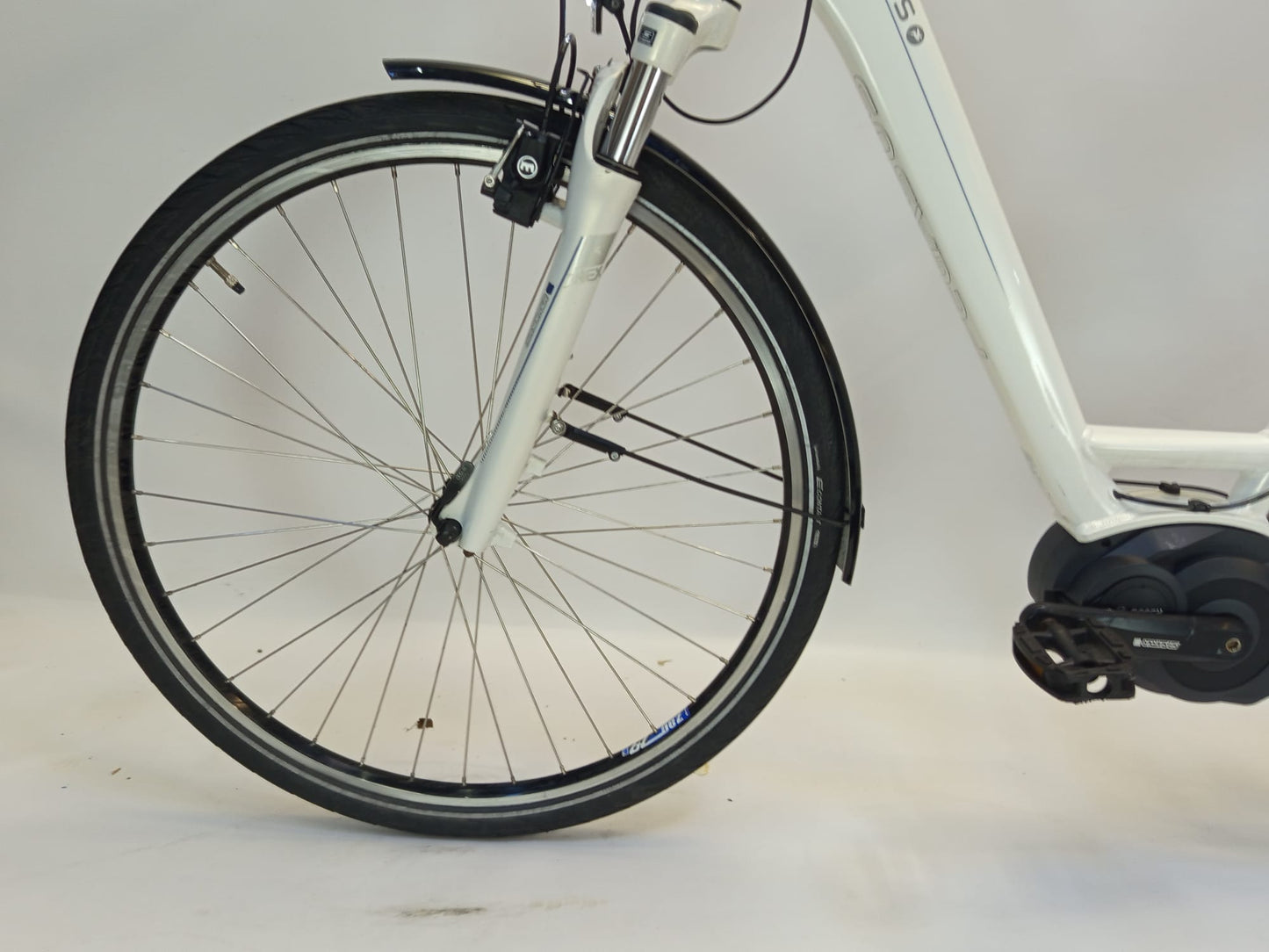 Pegasus Siena Bosch Active Line Middenmotor