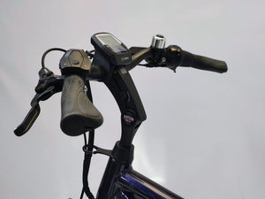 Pegasus Ravenna Evo 8F Bosch Active Line Plus 500Wh Heren