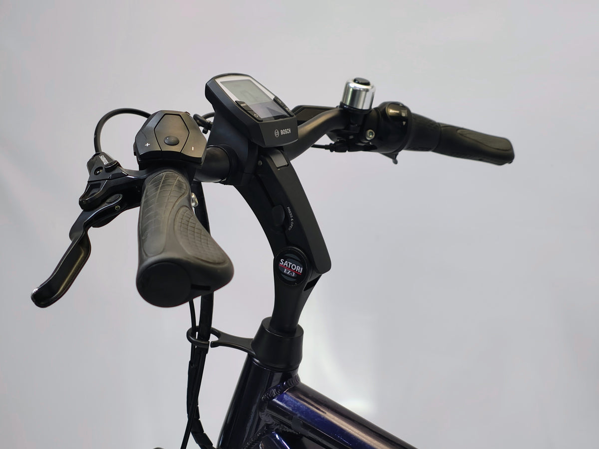 Pegasus Ravenna Evo 8F Bosch Active Line Plus 500Wh Heren