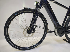 Pegasus Ravenna Evo 8F Bosch Active Line Plus 500Wh Heren