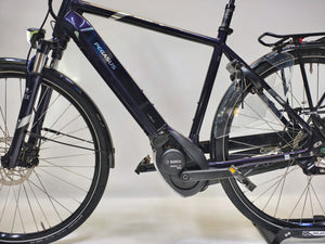 Pegasus Ravenna Evo 8F Bosch Active Line Plus 500Wh Heren
