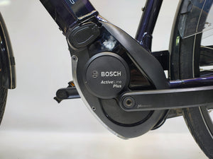 Pegasus Ravenna Evo 8F Bosch Active Line Plus 500Wh Heren