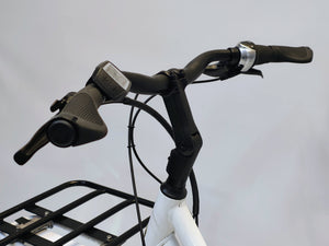 Sparta C-Cargo Bosch Active Line Middenmotor Longtail