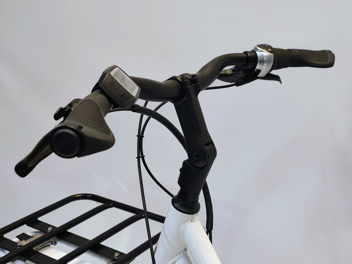 Sparta C-Cargo Bosch Active Line Middenmotor Longtail