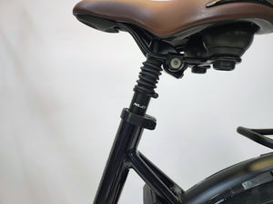 DEMO Batavus Finez e-Go Plus Bosch Active Line Plus 625Wh Belt-Drive met Enviolo Automatic
