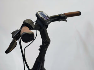 DEMO Batavus Finez e-Go Plus Bosch Active Line Plus 625Wh Belt-Drive met Enviolo Automatic