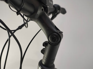 Raleigh Univega GMBH Bosch Performance Line Middenmotor 625Wh Belt-Drive!