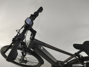 Raleigh Univega GMBH Bosch Performance Line Middenmotor 625Wh Belt-Drive!