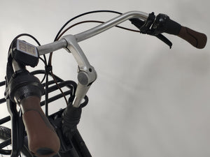 Gazelle Miss Grace Bosch Active Line Middenmotor