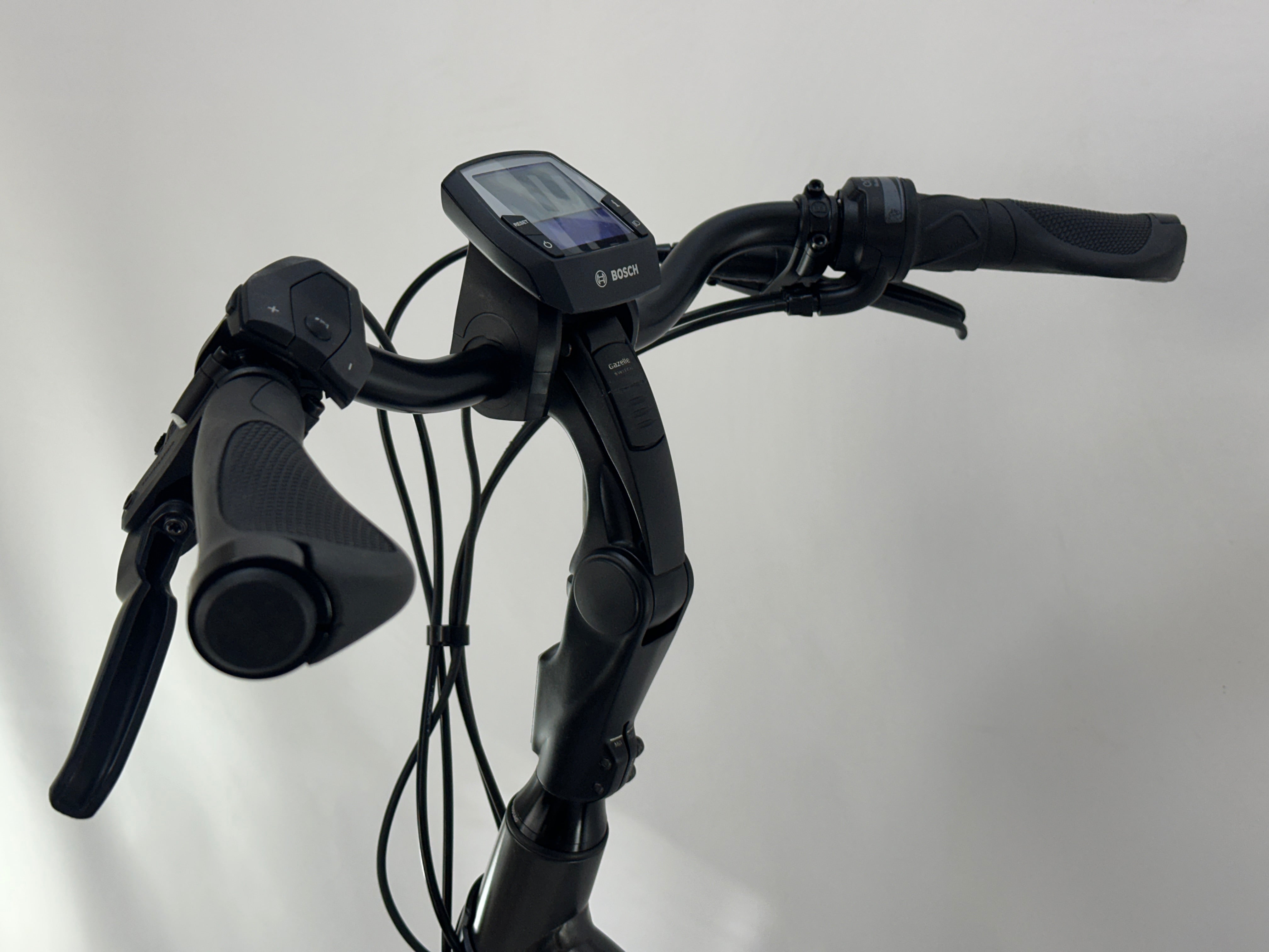 Gazelle Grenoble C380 Bosch Active Line Plus Middenmotor 500Wh met Eniviolo