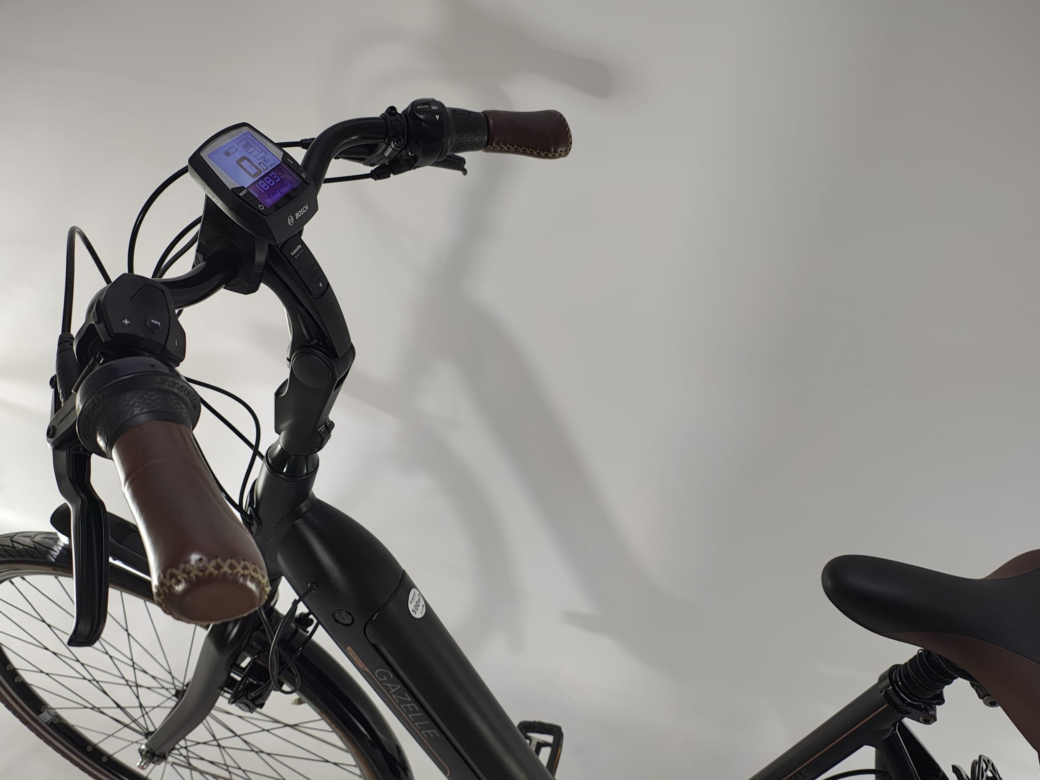 Gazelle Grenoble C8 Bosch Active Line Plus Middenmotor 500Wh!