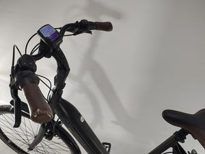 Gazelle Grenoble C8 Bosch Active Line Plus Middenmotor 500Wh!