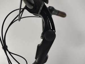 Gazelle Grenoble C8 Bosch Active Line Plus Middenmotor 500Wh!