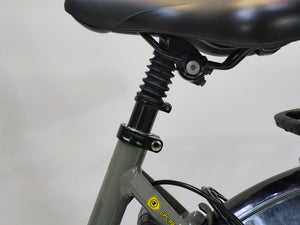 Gazelle Grenoble C8 Bosch Active Line Plus Middenmotor 400Wh