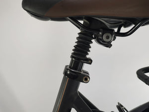 Gazelle Grenoble C8 Bosch Active Line Plus Middenmotor 500Wh!