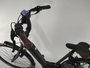 Gazelle Grenoble C8 Bosch Active Line Plus Middenmotor 500Wh!