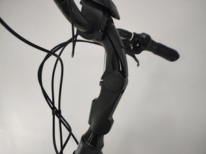 Gazelle Grenoble C5 Bosch Performance Line Middenmotor 500Wh Belt-Drive!