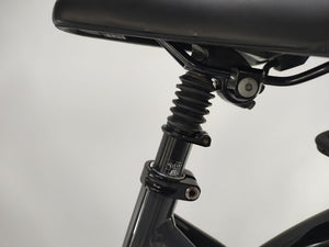 Gazelle Grenoble C5 Bosch Performance Line Middenmotor 500Wh Belt-Drive!