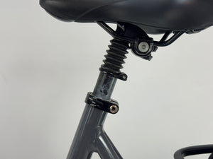 Gazelle Grenoble C8 Bosch Active Line Plus Middenmotor