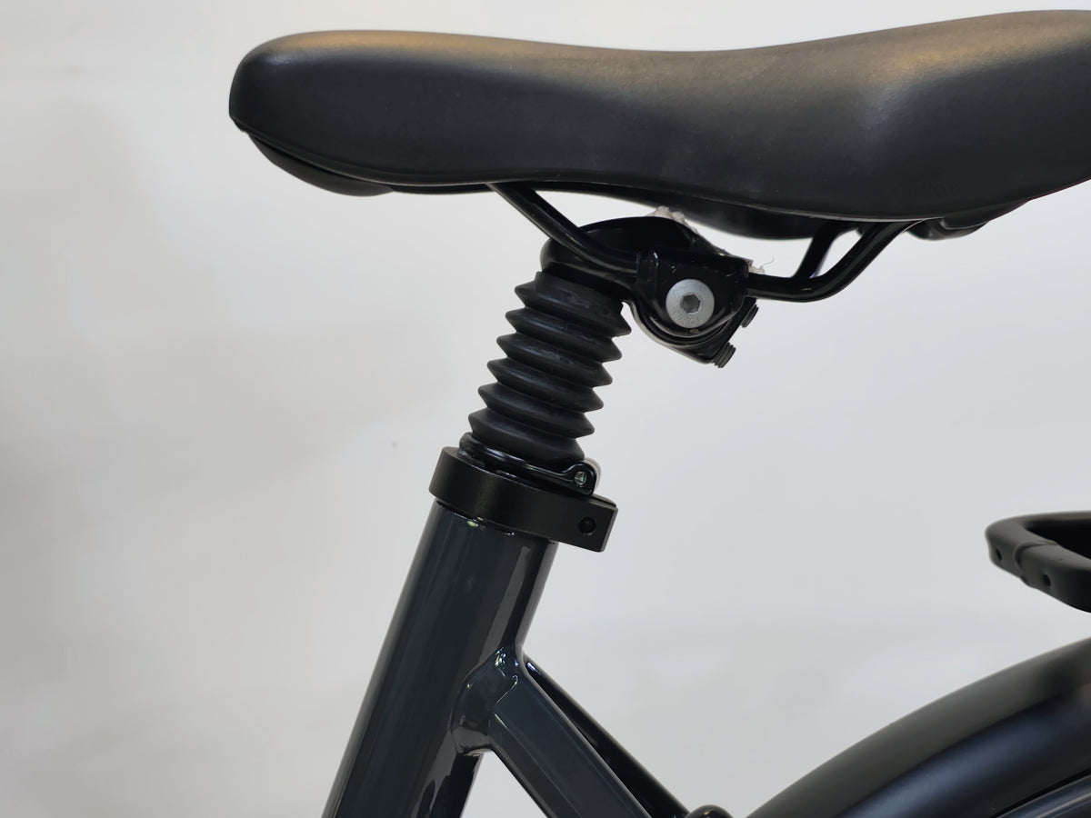 Gazelle Grenoble C5 Plus HMB Bosch Performance Line Middenmotor 600Wh Belt-Drive Smart System