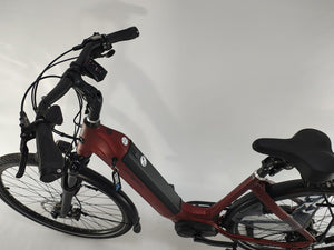 Velo de Ville AEB 890 Bosch Performance Line Middenmotor 625Wh Belt-Drive!