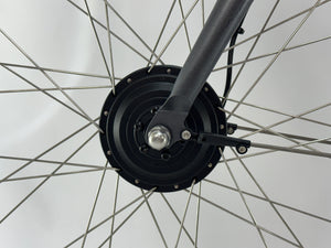 Raaks electric fiets