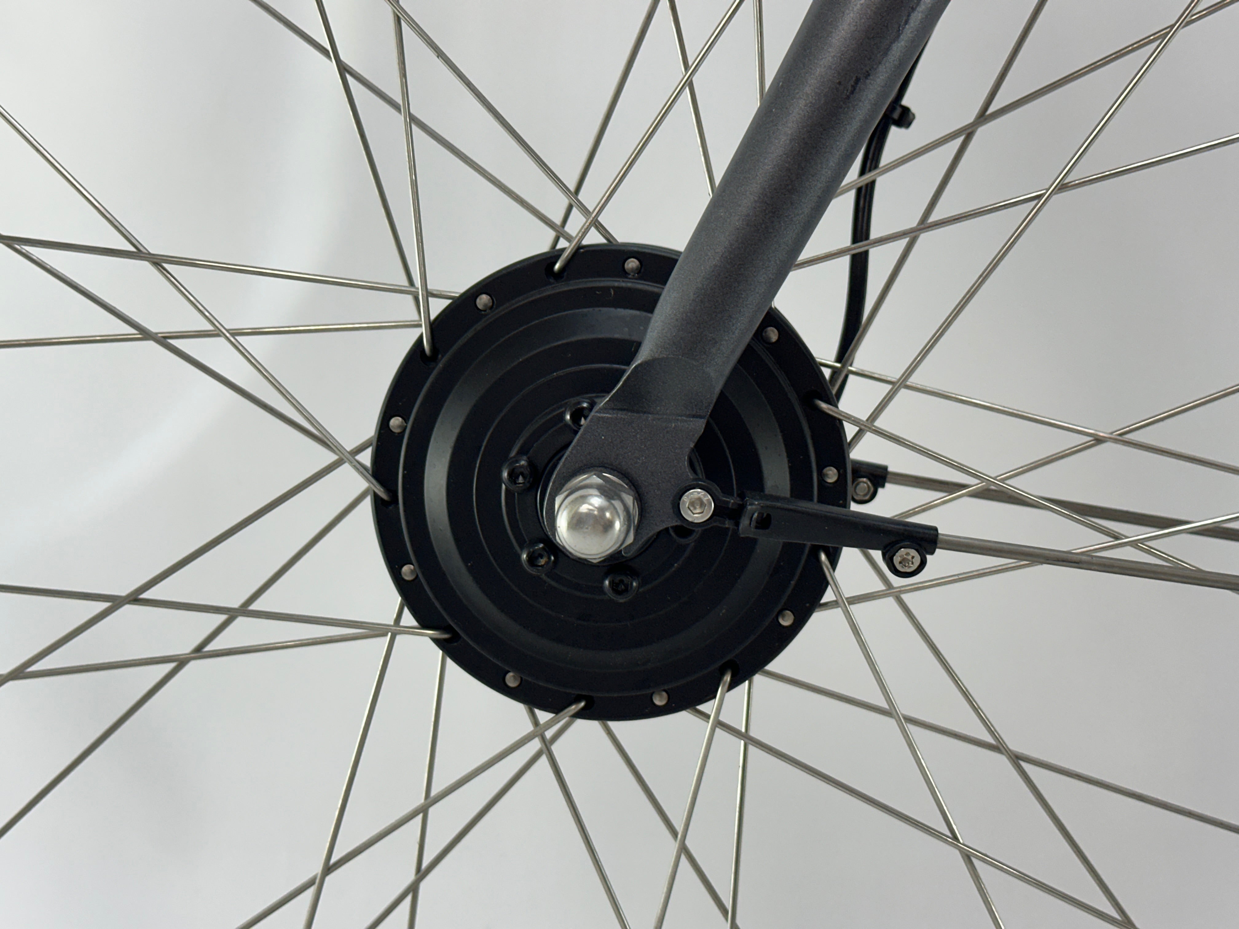 Raaks electric fiets