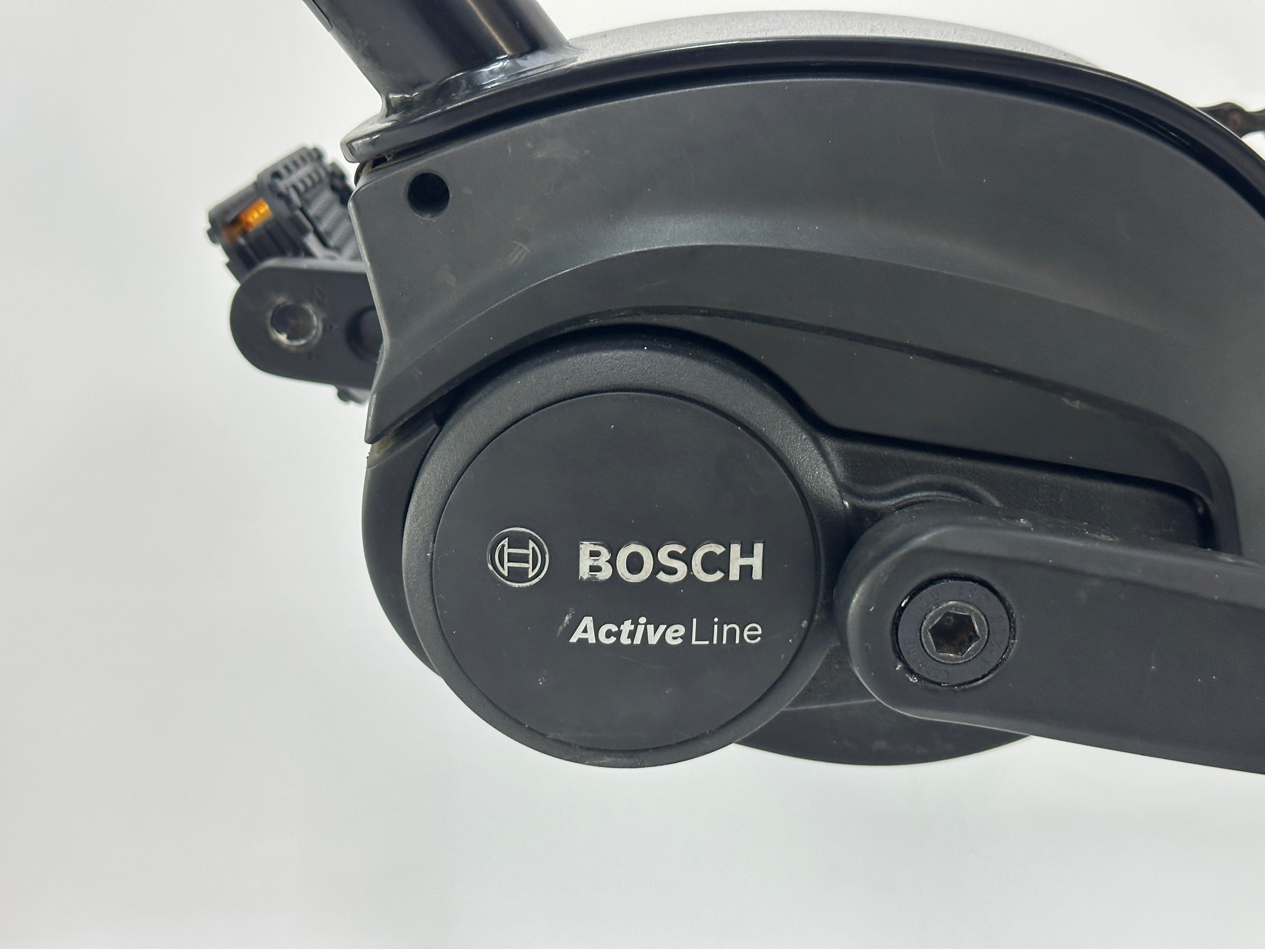 Ruff Cycles Biggie Pedelec Bosch Active Line Middenmotor 500Wh Fatbike
