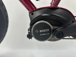 Ruff Cylces Lyl' Missy Bosch Active Line Middenmotor 500Wh Fatbike