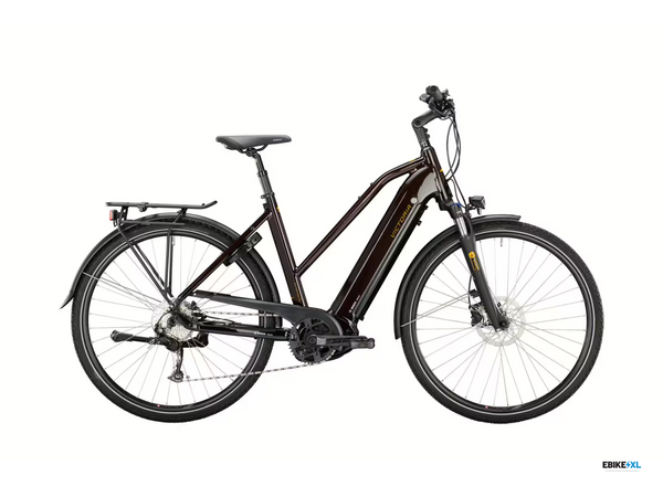e-bike bosch victoria e trekking 5.8 se E-Trekking 12.8 | Performance Line CX 625 Wh Farbe:sunlight magic Citybike und Gepäckträger (Stabilität) Spieltisch