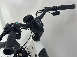Riese & Müller Nevo4 GT Rohloff Bosch Performance Line Speed Middenmotor 625Wh Belt-Drive Smart System 26