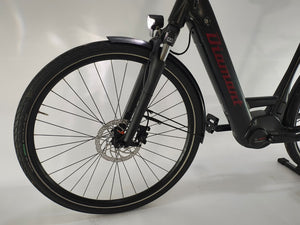 Diamant Beryll+ Esprit Bosch Performance Line Middenmotor 500Wh Belt-Drive!