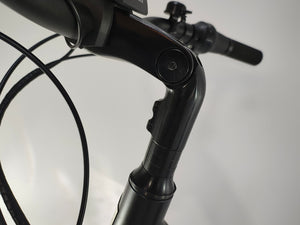 Diamant Beryll+ Esprit Bosch Performance Line Middenmotor 500Wh Belt-Drive!