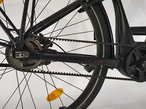 Diamant Beryll+ Esprit Bosch Performance Line Middenmotor 500Wh Belt-Drive!