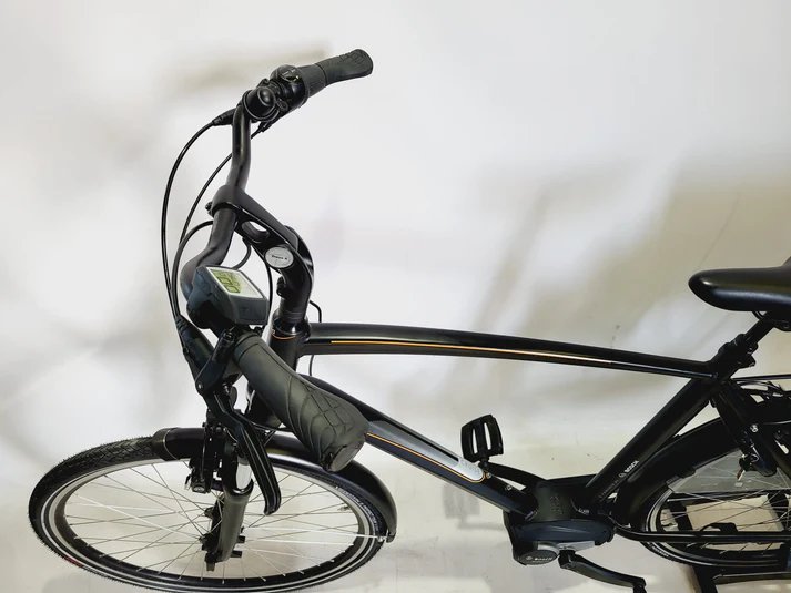 Dutch ID Cruise Bosch Active Line Middenmotor Heren Zwart 59cm L