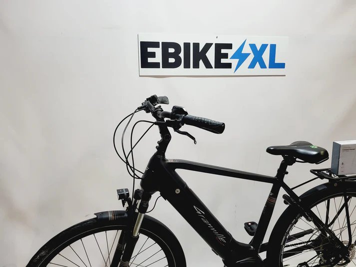 Granville E-Excellence 40 Bosch Active Line Plus Heren Zwart 55cm M