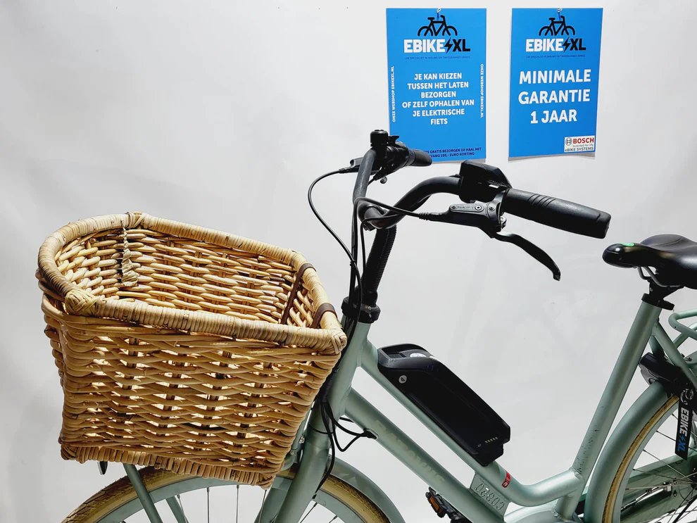 Batavus E-GO EXT Bosch Active Line Middenmotor Transportfi Lage instap Lichtgroen turkoois 61cm XL